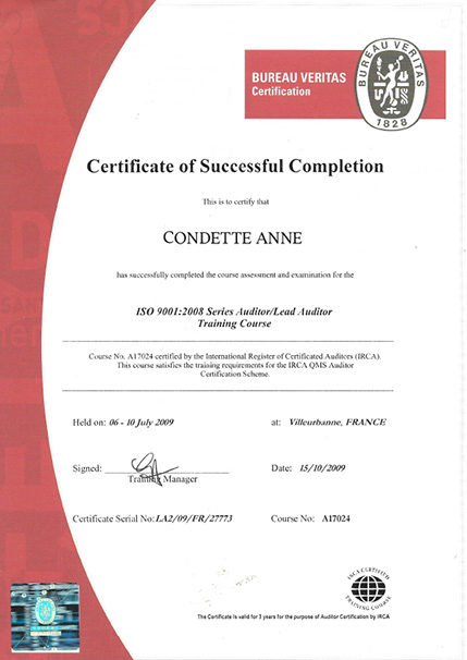 Auditeur ISO 9001